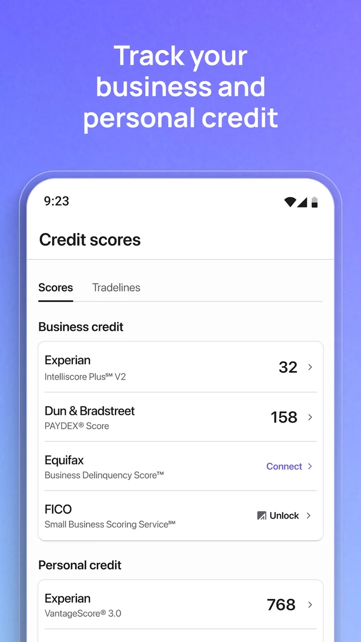 Nav business and personal credit scores