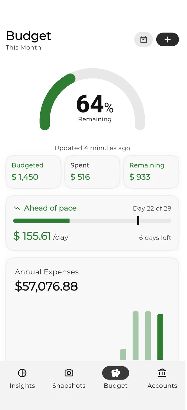 RetroFin mobile budget overview